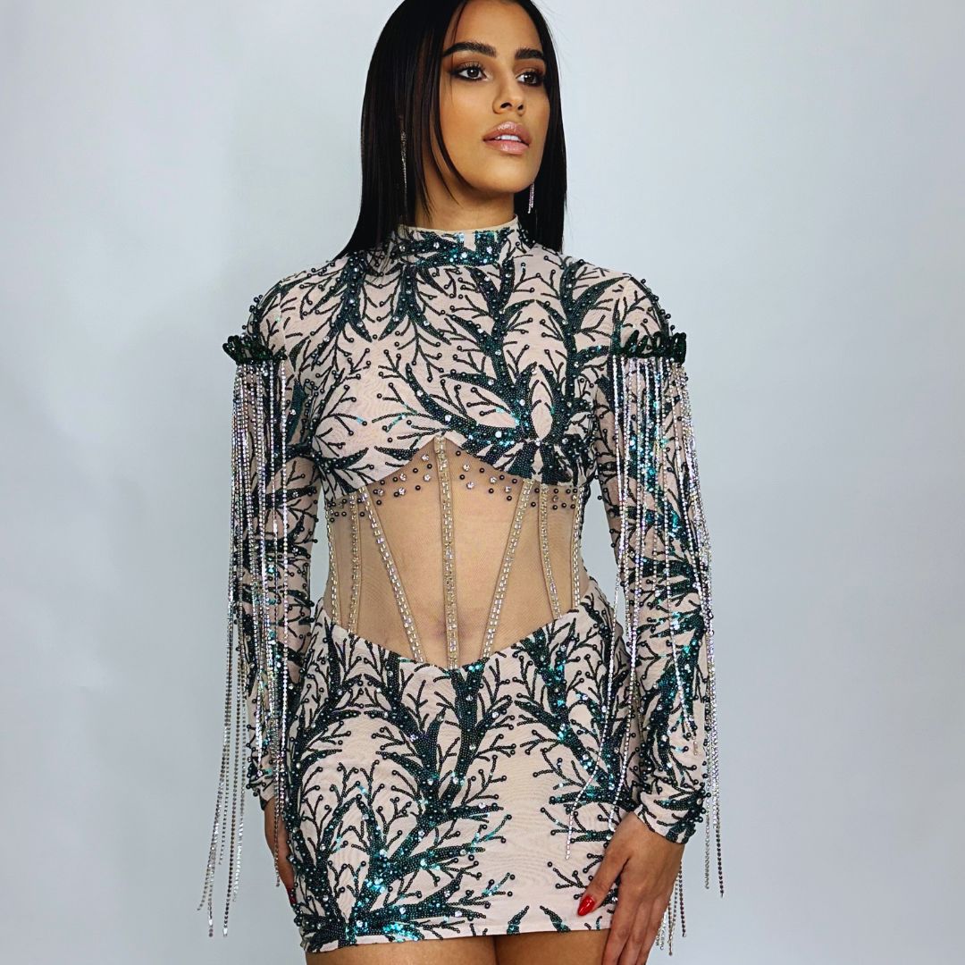 Harmony Glow Transparency Long Sleeve Mini Dress